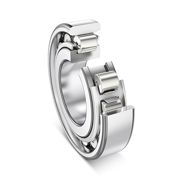 300 Series Cylindrical Roller Bearing